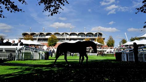goodwood lucky 15 tips|Goodwood Tips .